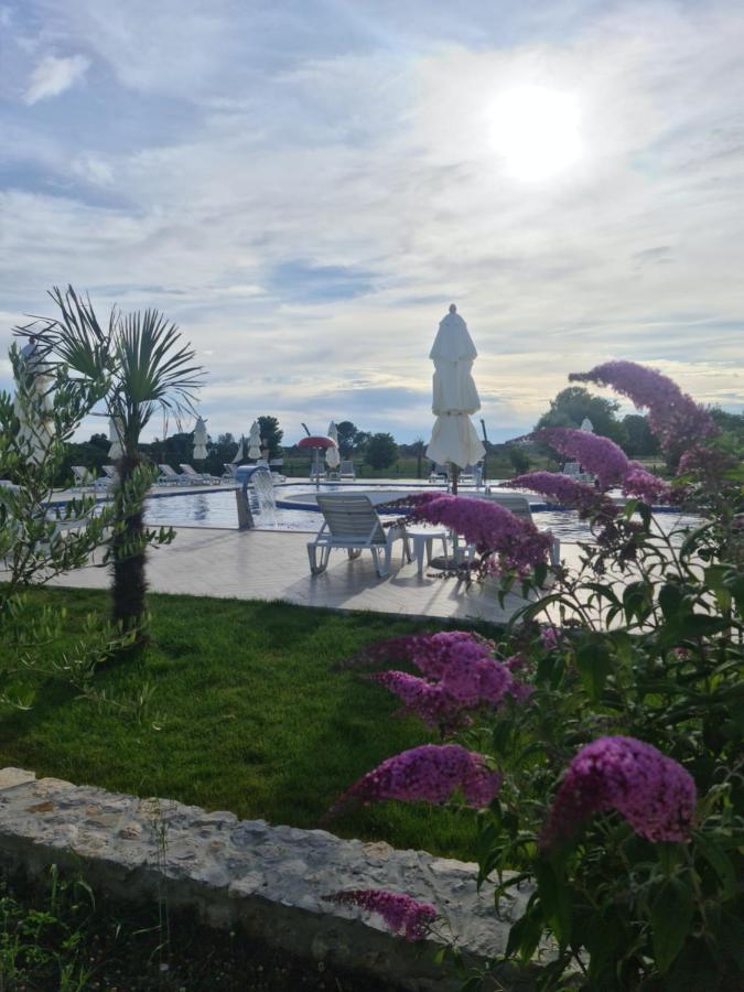 Imperial Resort 乌尔齐尼 外观 照片